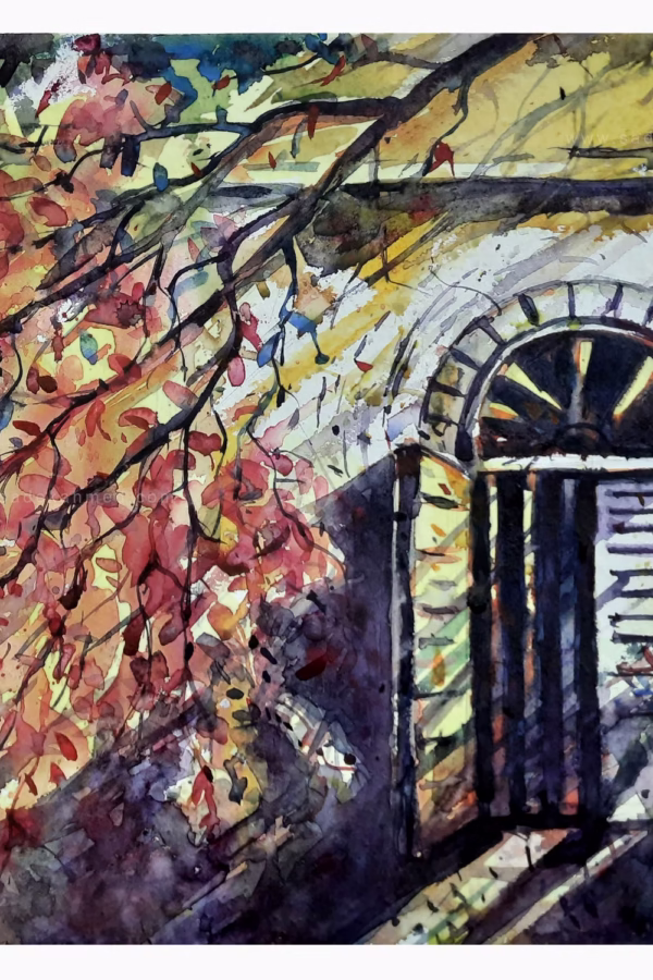 The Window