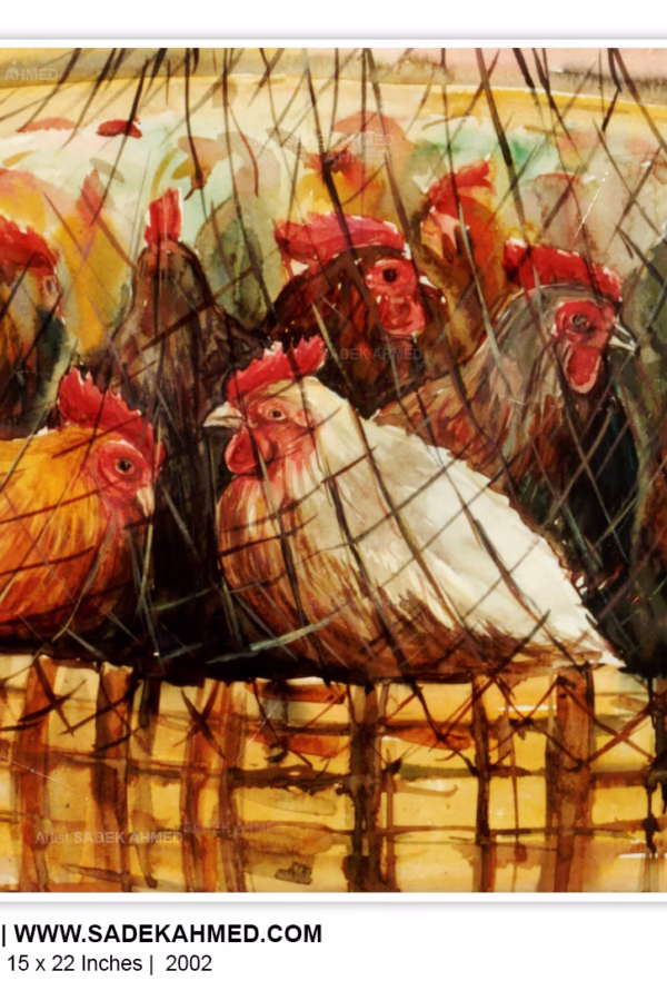 Hen Watercolor