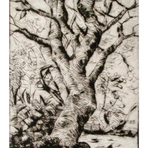 Dry point / Printmaking  | 6 x 4 inches