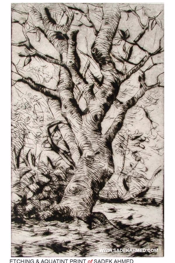Dry point / Printmaking  | 6 x 4 inches